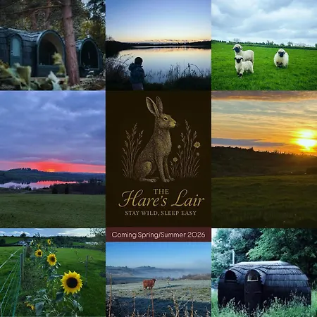 The Hare's Lair *